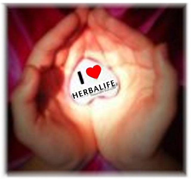 IL_CUORE_DI_HERBALIFE